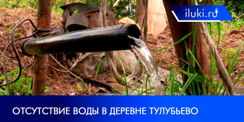 Жители деревни Тулубьево в Великолукском районе страдают из-за отсутствия воды - 2021-08-11 19:30:00 - 1