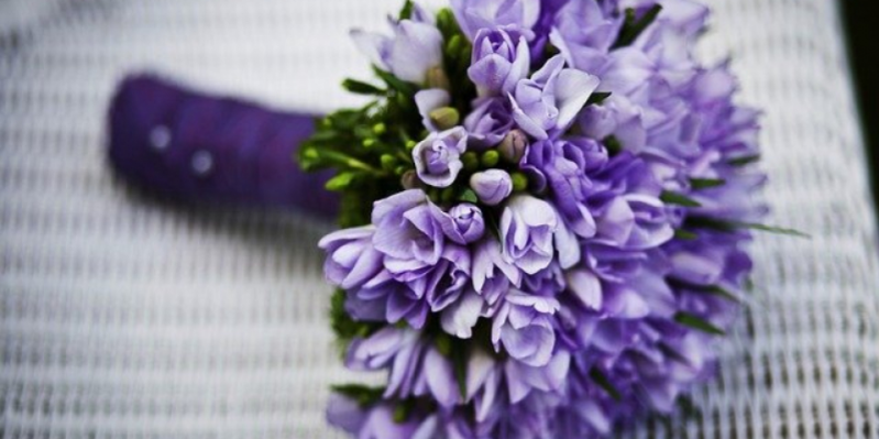 Николай Козловский поздравил работников культуры с профессиональным праздником - 2021-03-25 10:13:00 - 1