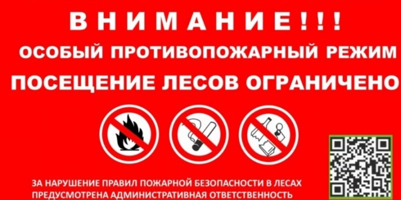 В шести районах Псковской области введен особый противопожарный режим - 2022-08-25 09:05:00 - 1