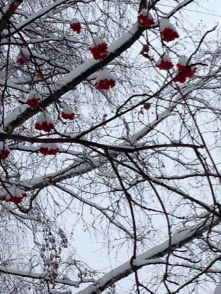 Снегопад в Великих Луках: красивое видео с камер видеонаблюдения - 2018-11-16 09:36:00 - 1