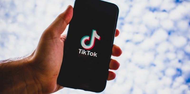 В Хабаровске майор полиции уволена за TikTok - 2021-02-11 20:00:00 - 1