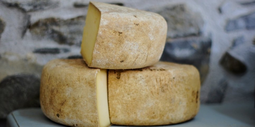 Запрет на уничтожение санкционных продуктов могут ввести в России - 2022-01-31 19:00:00 - 1