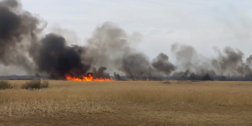 В Великих Луках снова подожгли сухую траву - 2023-04-13 12:31:00 - 1