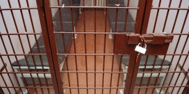 Житель Новосокольнического района, подозреваемый в убийстве, взят под стражу - 2023-01-09 08:35:00 - 1