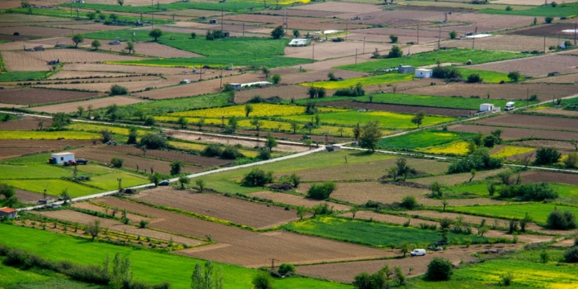 Сразу несколько налоговых ставок могут быть применены к одному участку земли - 2021-09-19 15:00:00 - 1