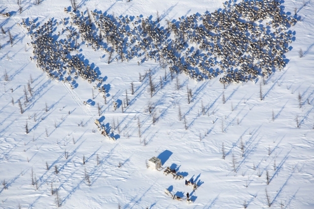 Фотовыставка «Самая красивая страна», посвященная сохранению дикой природы России, проходит в Гаване - 2018-11-29 14:33:00 - 1