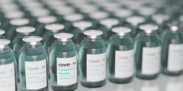 В Великих Луках волонтёры помогут распечатать сертификат о вакцинации - 2021-11-23 13:05:00 - 1