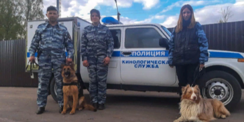 В Островском районе служебные собаки нашли заблудившегося в лесу пенсионера - 2023-05-10 09:05:00 - 1