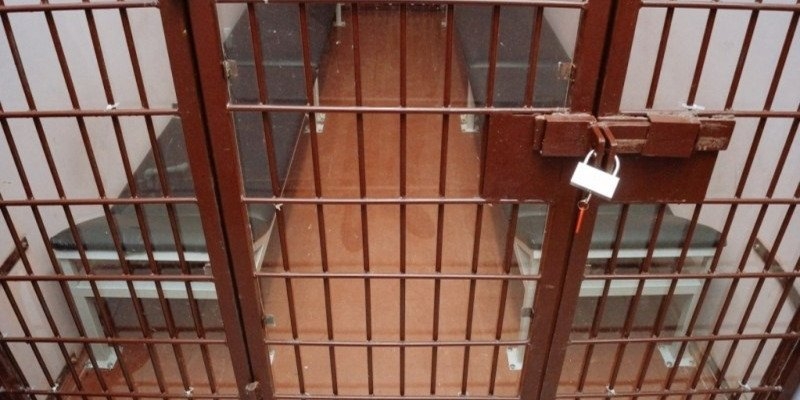 Жителя Псковской области задержали с 65 килограммами наркотиков - 2022-12-06 10:35:00 - 1