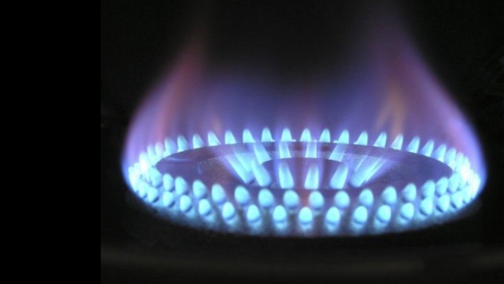 Поставку газа в баллонах и газификацию обсудили в администрации региона - 2021-05-13 12:13:00 - 1