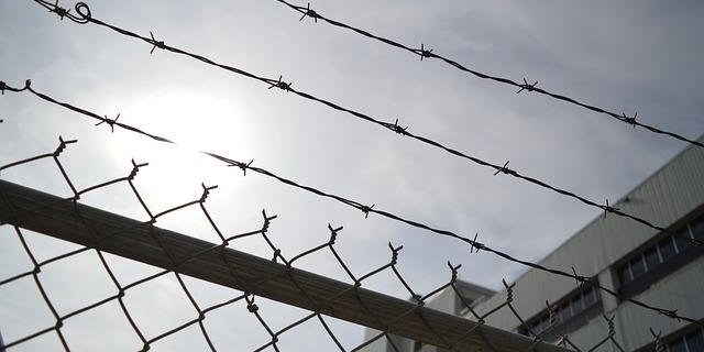 Жительница Локнянского района взята под стражу по подозрению в убийстве - 2022-06-22 11:05:00 - 1