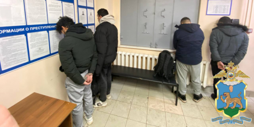 В Псковской области задержали граждан, незаконно находящихся в РФ - 2023-11-29 16:05:00 - 1