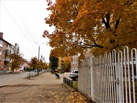 Прогноз погоды на 14 октября по Псковскому региону и Великим Лукам - 2018-10-13 22:02:00 - 1