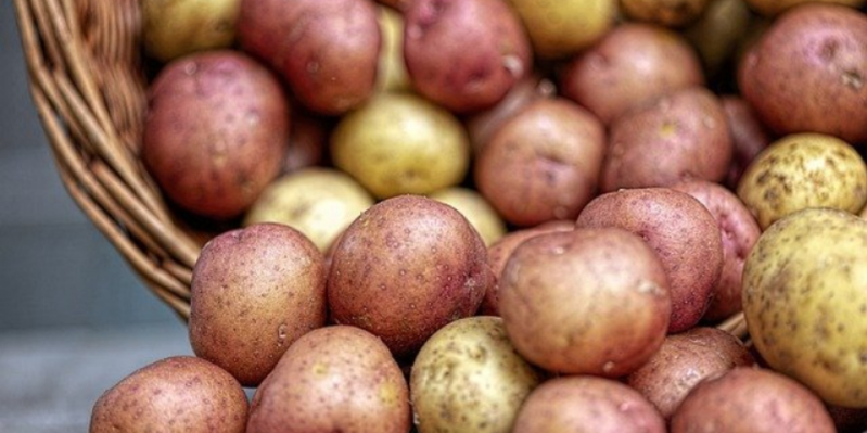 В России появится картофель «эконом-класса» - 2021-01-22 18:30:00 - 1