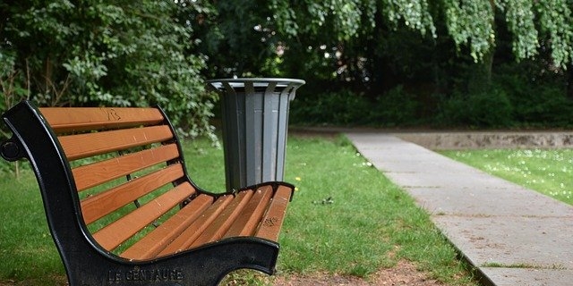Печоры, Пушкинские Горы и Усвяты участвуют в конкурсе проектов благоустройства - 2022-06-22 16:35:00 - 1