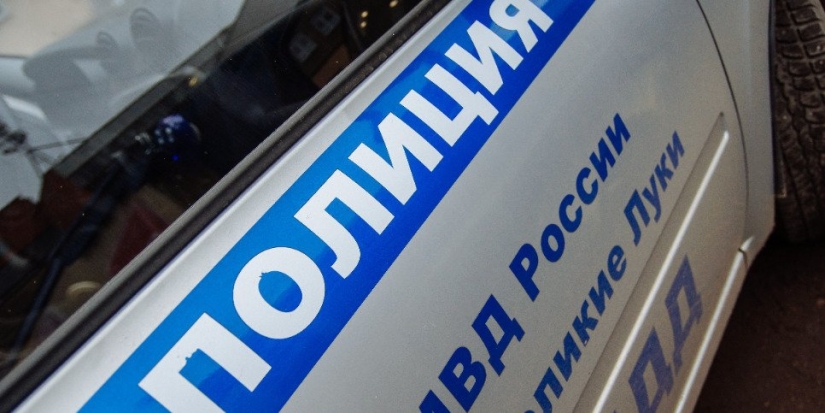 Полиция Великих Лук задержала угонщика - 2023-01-12 10:35:00 - 1