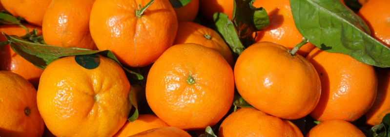 Честно о мандаринах: сорта, мифы, правила выбора. Исследование Роскачества - 2018-12-30 21:04:00 - 1