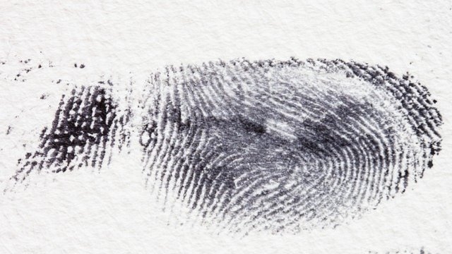 Житель Великих Лук украл из кассы зоомагазина 55 тысяч рублей - 2021-05-13 15:52:00 - 1