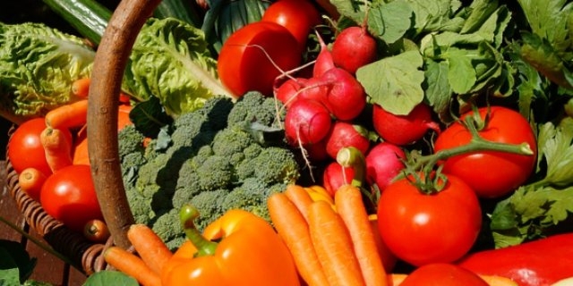 Роспотребнадзор проводит «горячую линию» по качеству плодоовощной продукции - 2021-08-06 13:47:00 - 1