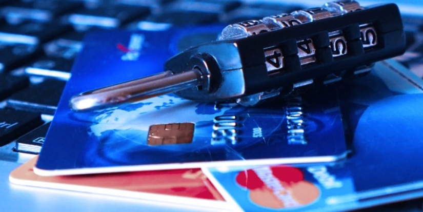 В Пскове и Великих Луках возбуждены уголовные дела по фактам мошенничества - 2021-09-24 13:12:00 - 1