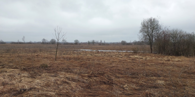 В Великолукском районе выявлена несанкционированная свалка - 2024-04-26 10:35:00 - 1