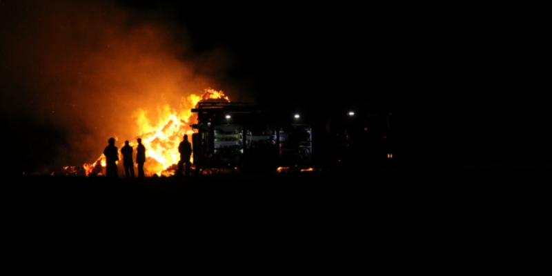 Две женщины погибли на пожаре на острове Белова в Псковском районе - 2021-03-15 11:03:00 - 1
