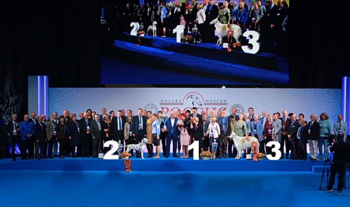 Великолучанка и ее питомец заняли призовое место на выставке собак - 2018-11-05 15:49:00 - 1