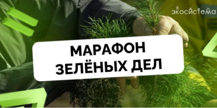 В Псковской области проходит Марафон зеленых дел - 2024-05-26 20:05:00 - 1