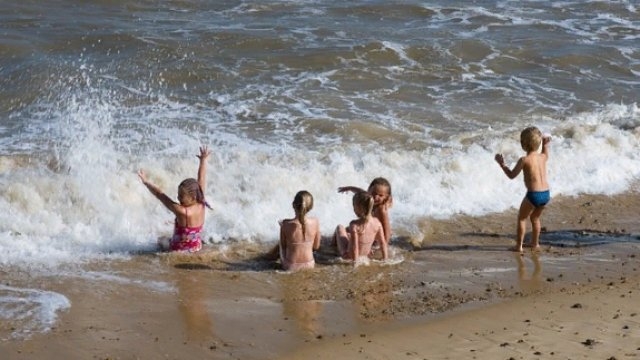 Работает «Горячая линия» по вопросам качества и безопасности детского отдыха - 2021-06-03 14:36:00 - 1