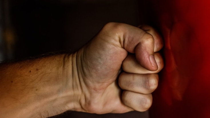 Житель Печорского района оштрафован за нападение на полицейского - 2021-05-31 14:36:00 - 1