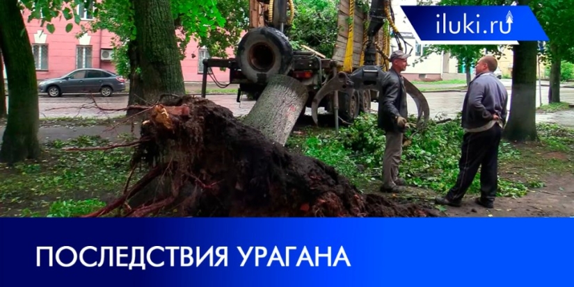 Псковская область продолжает восстанавливаться после урагана - 2021-07-05 20:00:00 - 1