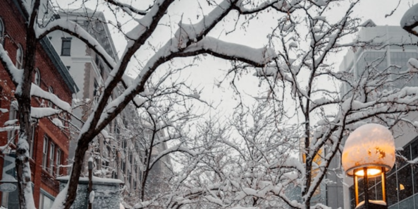 Мокрый снег сегодня ожидается в Псковской обалсти - 2024-04-03 16:01:00 - 1