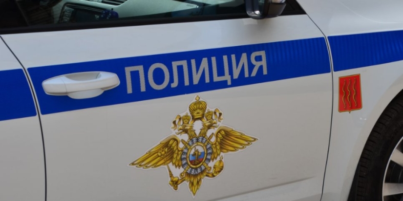 Кражи телефона и золота раскрыты в Великих Луках - 2022-07-07 16:35:00 - 1