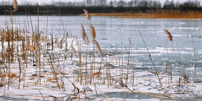 Троих взрослых и ребенка спасли на Чудском озере - 2021-02-01 13:21:00 - 1