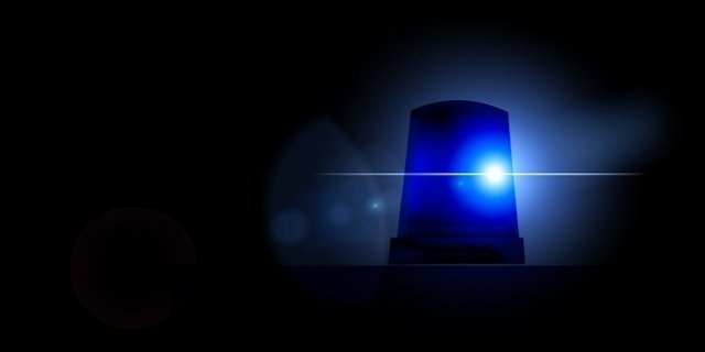 В Пскове росгвардейцами задержана подозреваемая в краже - 2021-08-19 10:13:00 - 1