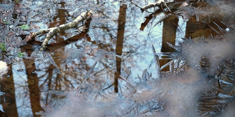 Полицейские в Пскове вывели на берег четверых школьников, гуляющих по льду - 2021-03-19 11:00:00 - 1