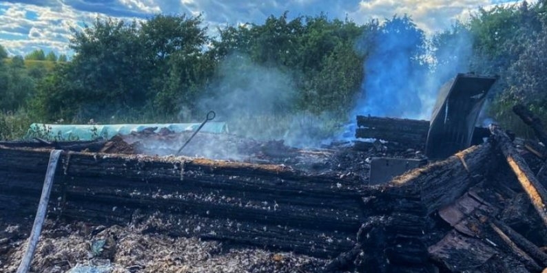 На пожаре в Великолукском районе погиб мужчина - 2022-08-01 16:05:00 - 1