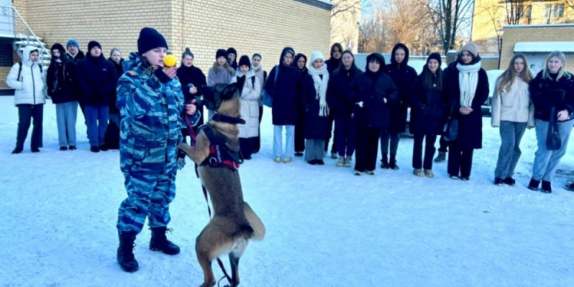 Акция «Студенческий десант» прошла в Великих Луках - 2024-01-22 15:05:00 - 1