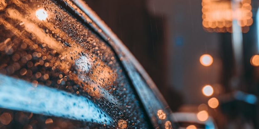 Грозы и ливни в Псковской области обещают сегодня синоптики - 2023-08-02 11:05:00 - 1