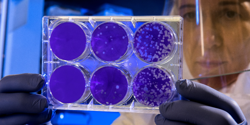 О риске появления новой смертельной пандемии заявила ВОЗ - 2023-05-24 18:35:00 - 1