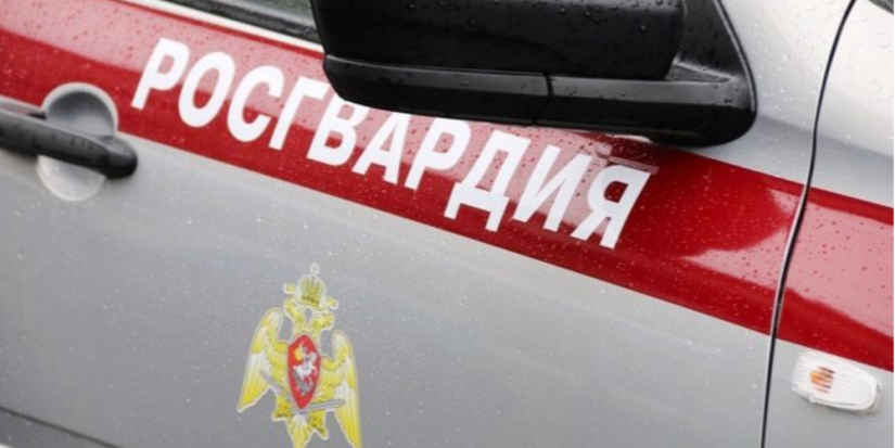 В Великих Луках росгвардейцы задержали подозреваемую в краже - 2023-01-20 14:05:00 - 1