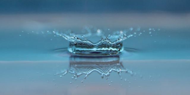 Студентов Псковской области приглашают к участию в экоквесте «Вода. Онлайн» 3.0 - 2022-05-28 12:05:00 - 1