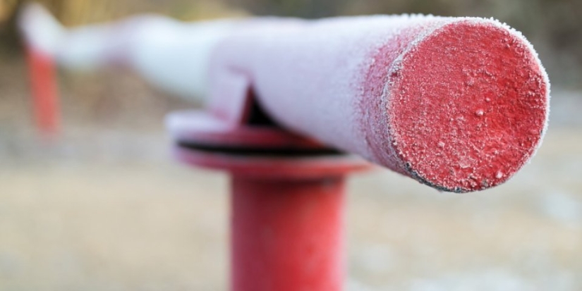 Псковские таможенники пресекли незаконные действия транспортной компании - 2021-09-29 13:37:00 - 1