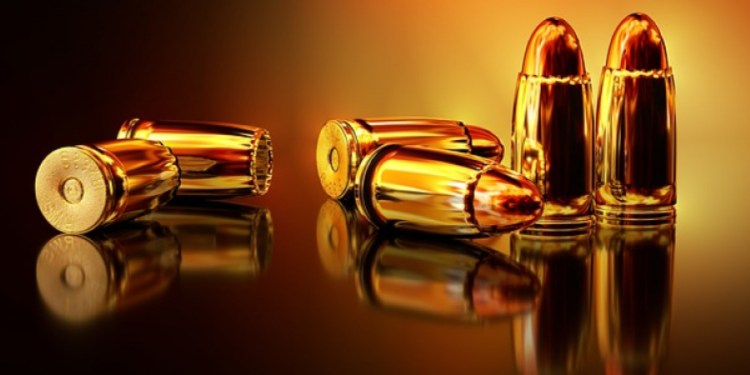 В феврале в Псковской области выявлено 129 нарушений правил оборота оружия - 2021-03-02 13:12:00 - 1