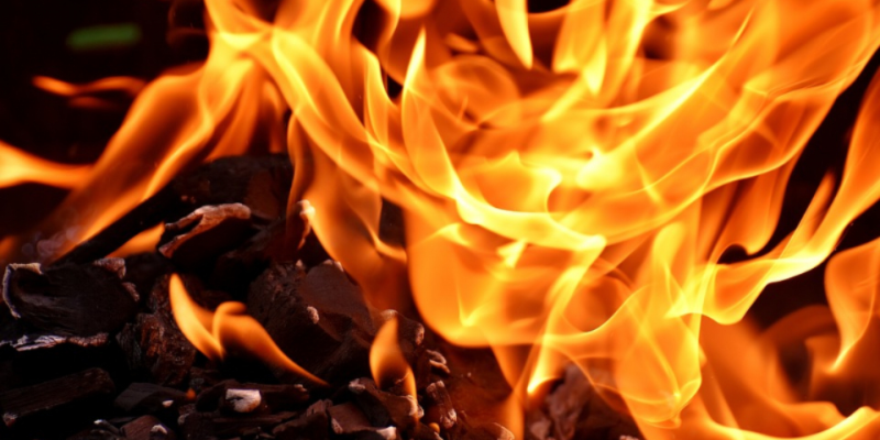 Двое мужчин погибли на пожаре в Струго-Красненском районе - 2021-02-11 10:43:00 - 1