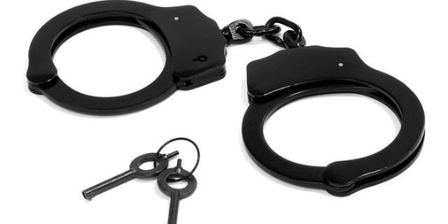 Двух великолучан задержали по подозрению в кражах - 2022-01-10 08:35:00 - 1