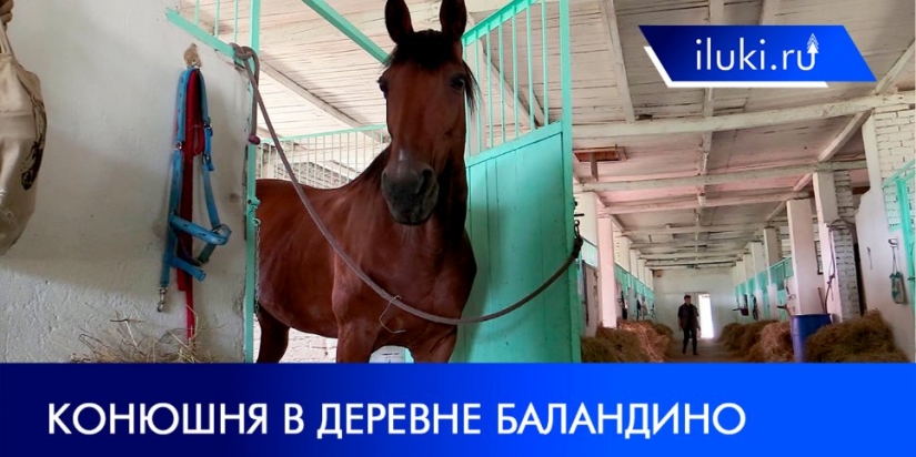 Конюшня в Баландино как место для летнего отдыха с семьей - 2021-08-10 18:00:00 - 1