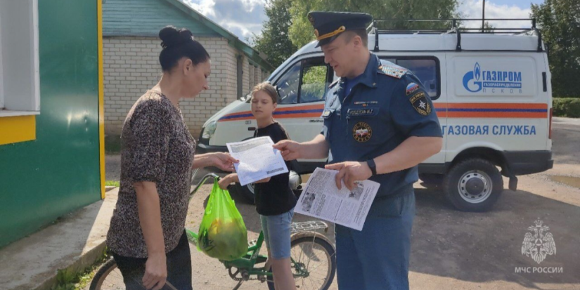 Жителям Дедовичского района напомнили правила пожарной безопасности - 2023-07-27 15:05:00 - 1