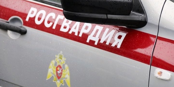 В Великих Луках росгвардейцы задержали подозреваемого в краже - 2022-09-07 12:05:00 - 1
