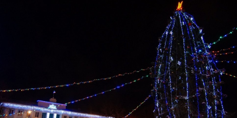 Привезти в Великие Луки елку не позволила погода - 2021-12-16 16:17:00 - 1